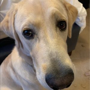 Meet your Posher, Kristel